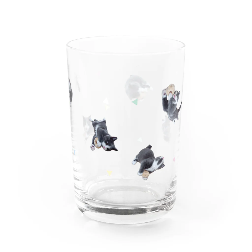 falfalの散らばるファルファル03 Water Glass :back
