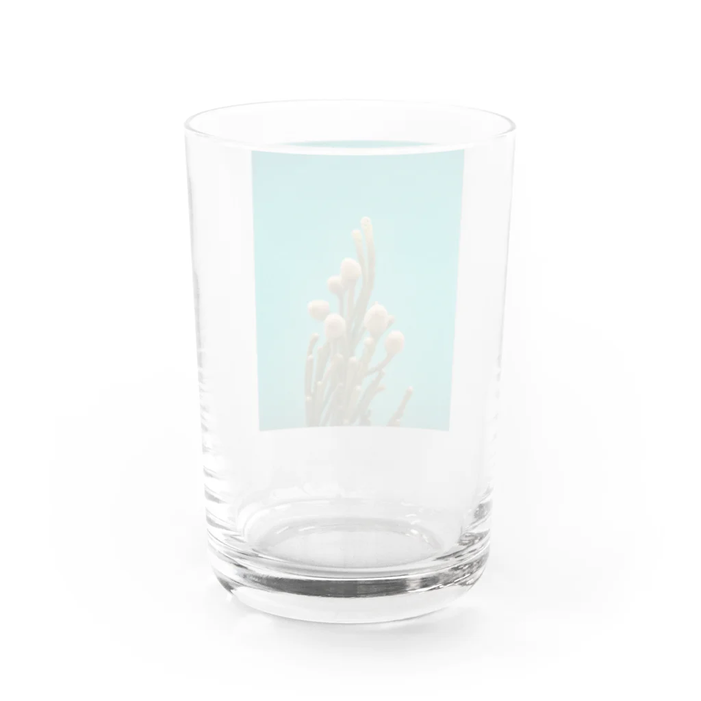 illairheadの腐海に生えている植物 Water Glass :back