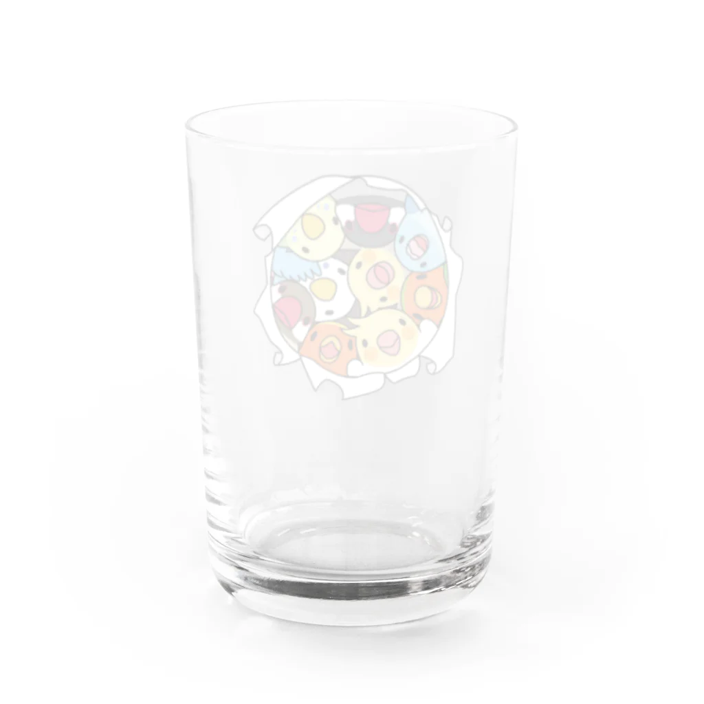 まめるりはことりの三密です！むちむち鳥まみれ【まめるりはことり】 Water Glass :back