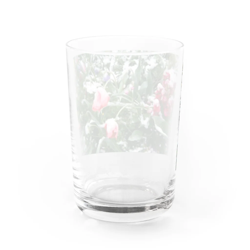 yawn shopの雪の花 Water Glass :back