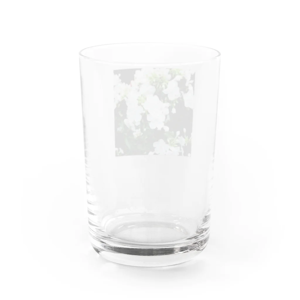 たもつの庭のしろい花 Water Glass :back