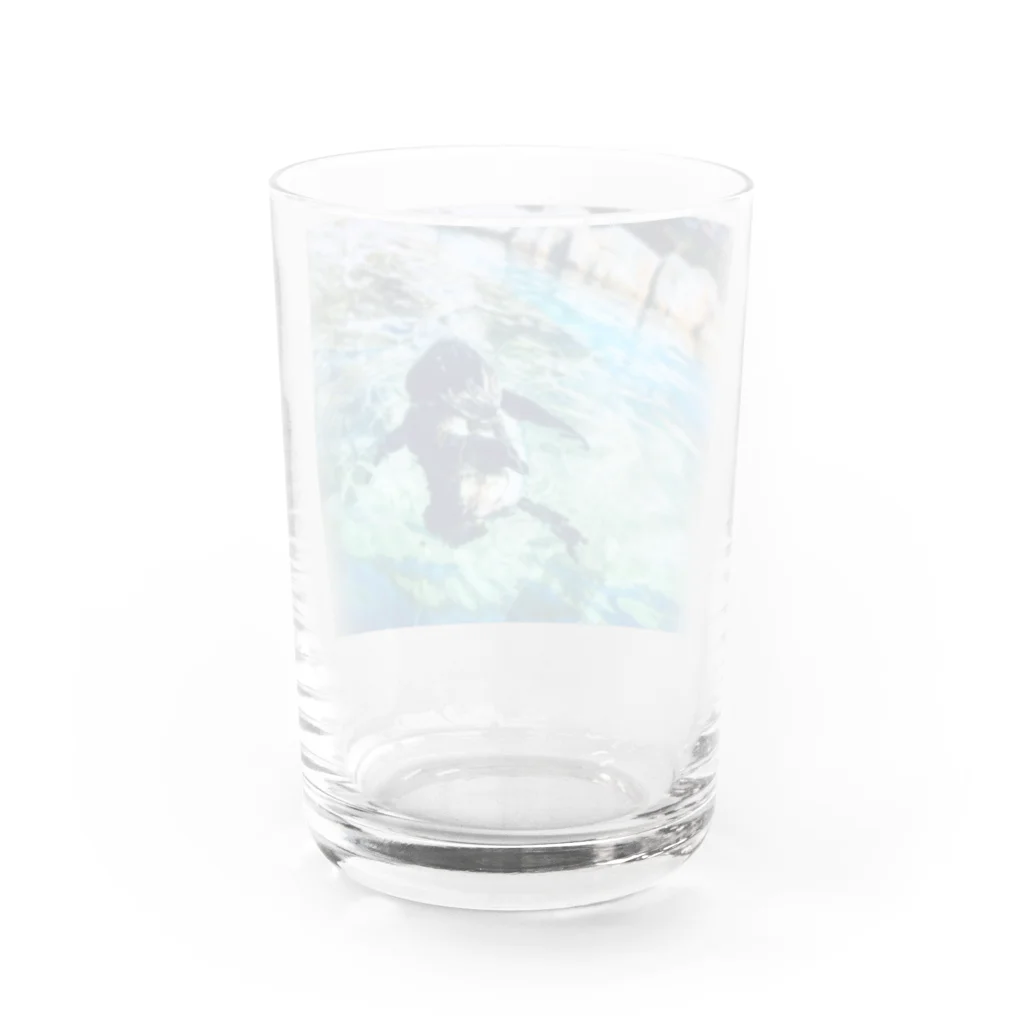 spring.の透ペンギン Water Glass :back