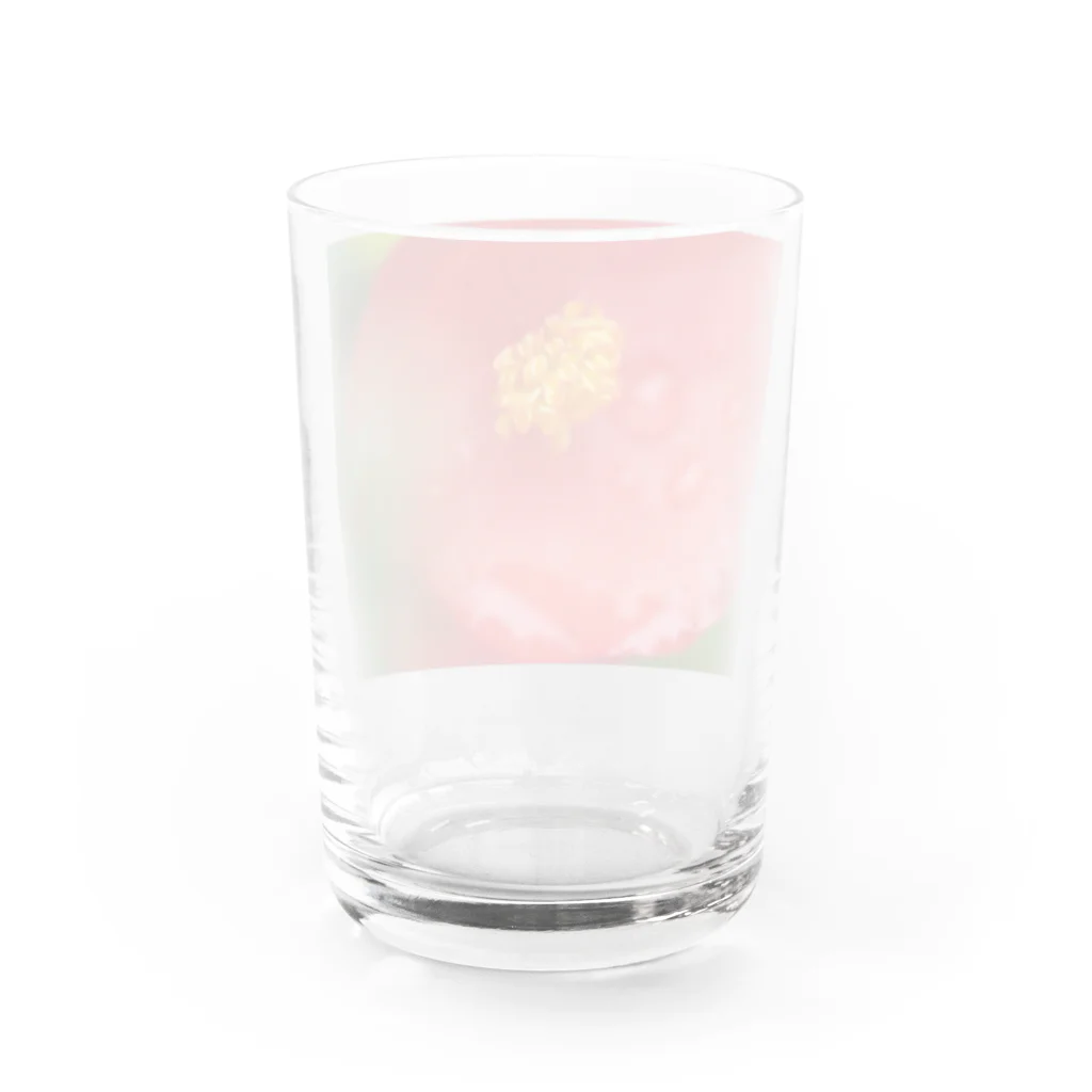 まいしょっぷマイユの赤いベゴニアちゃん Water Glass :back