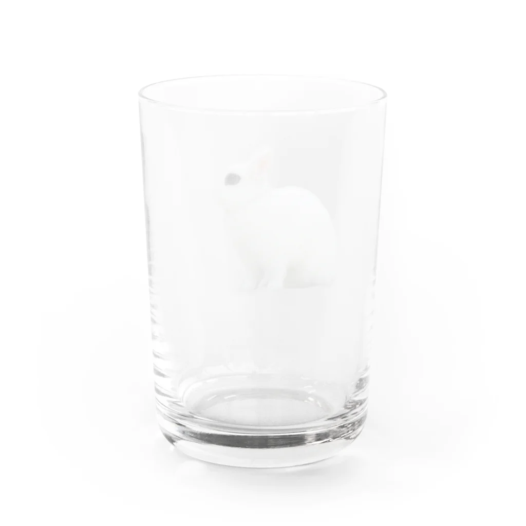 はるさめ商店のよこむきはるさめちゃん Water Glass :back