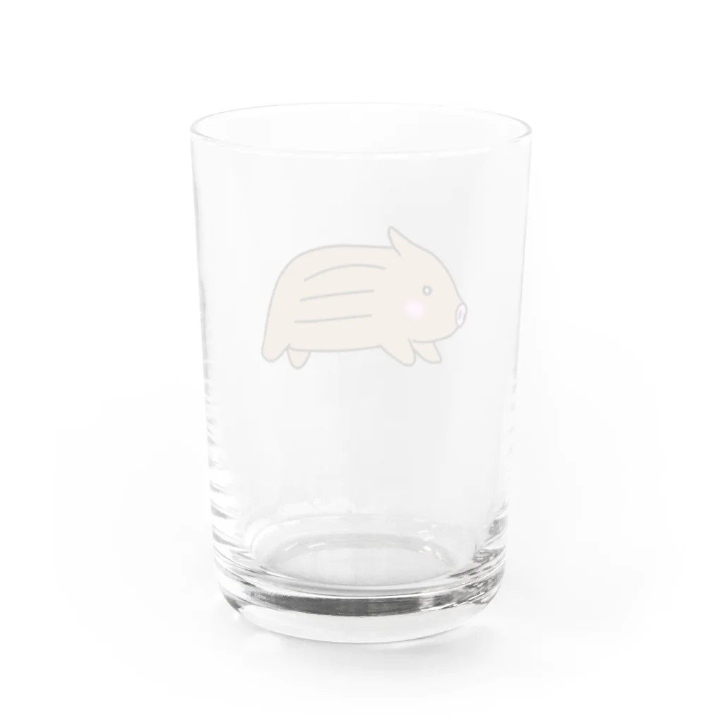 ほぼ動物園のうりぼう Water Glass :back