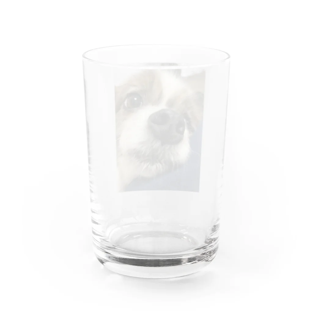 ばんびたんのうちのいぬ　22 Water Glass :back