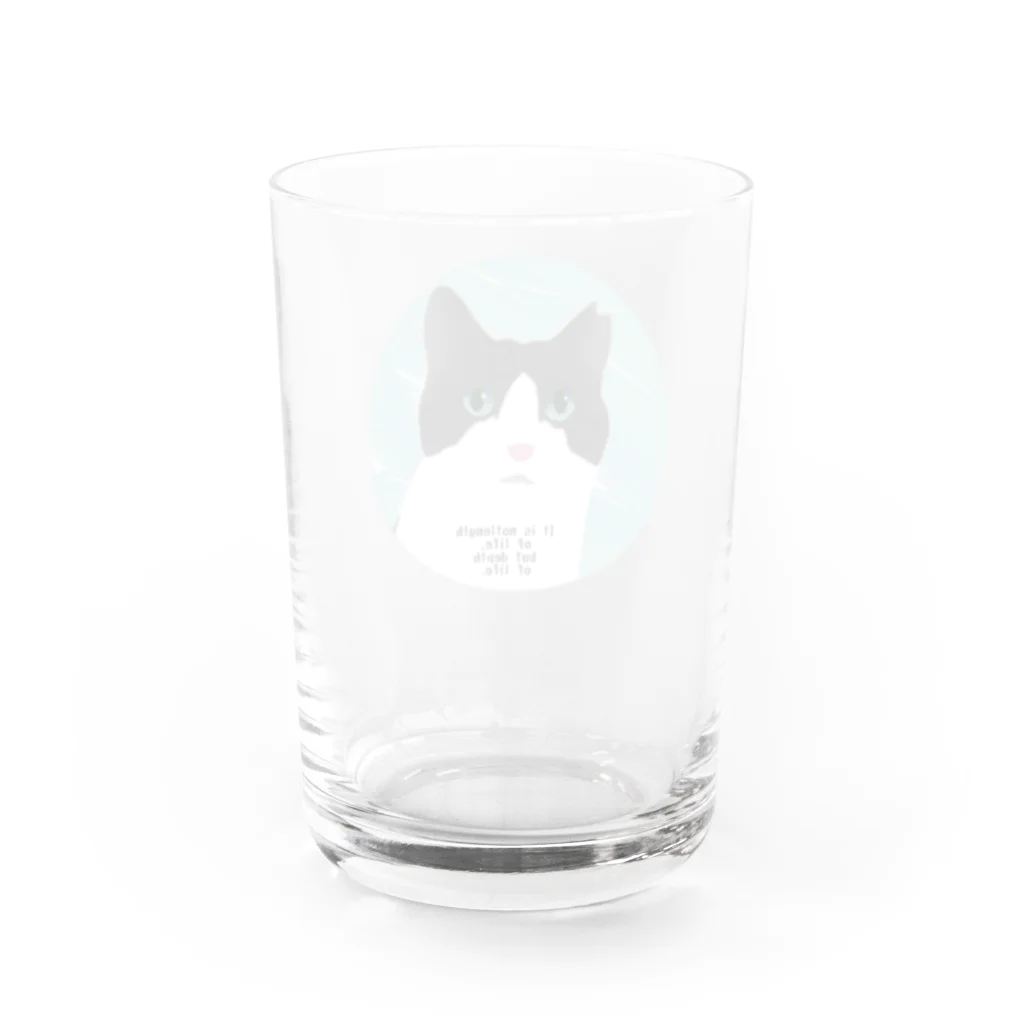 ひげ猫マリオのハチワレ猫山さん2 Water Glass :back