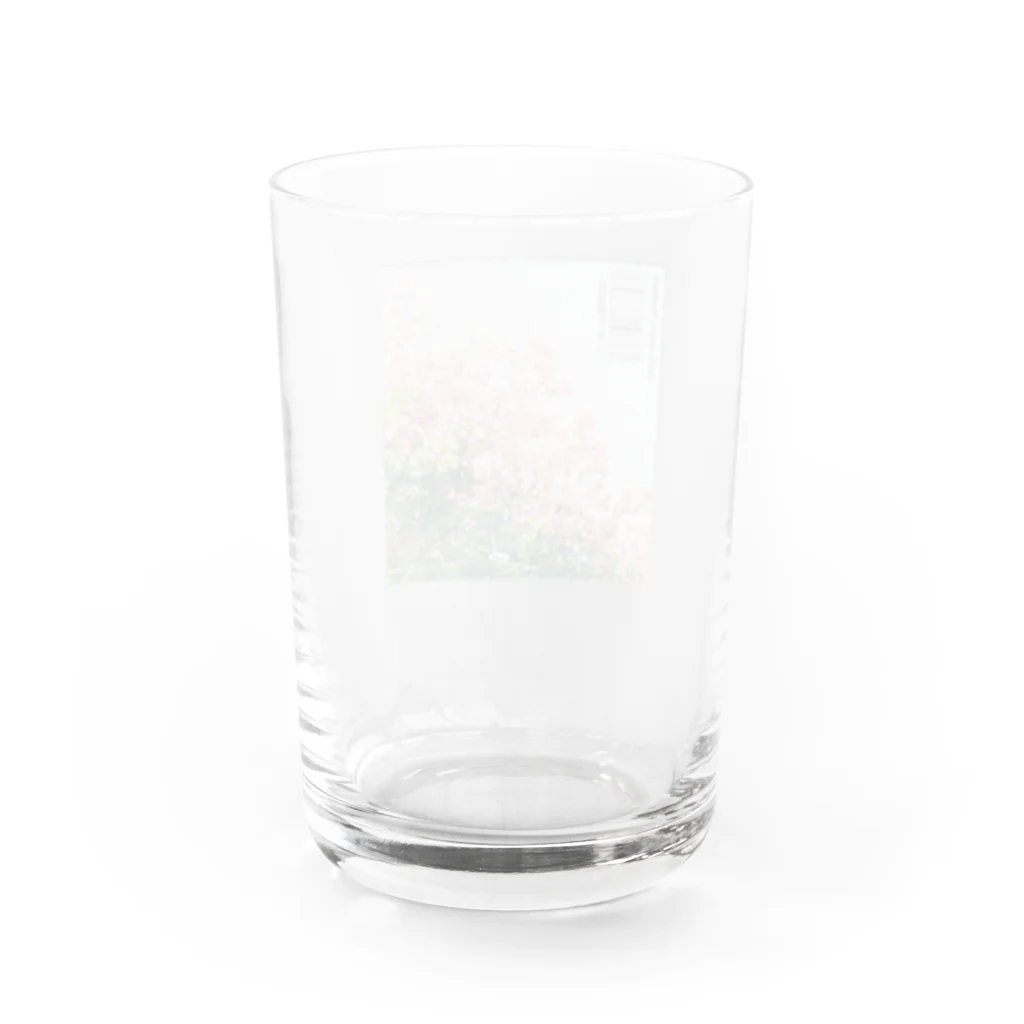 ELASTICの百日紅 Water Glass :back