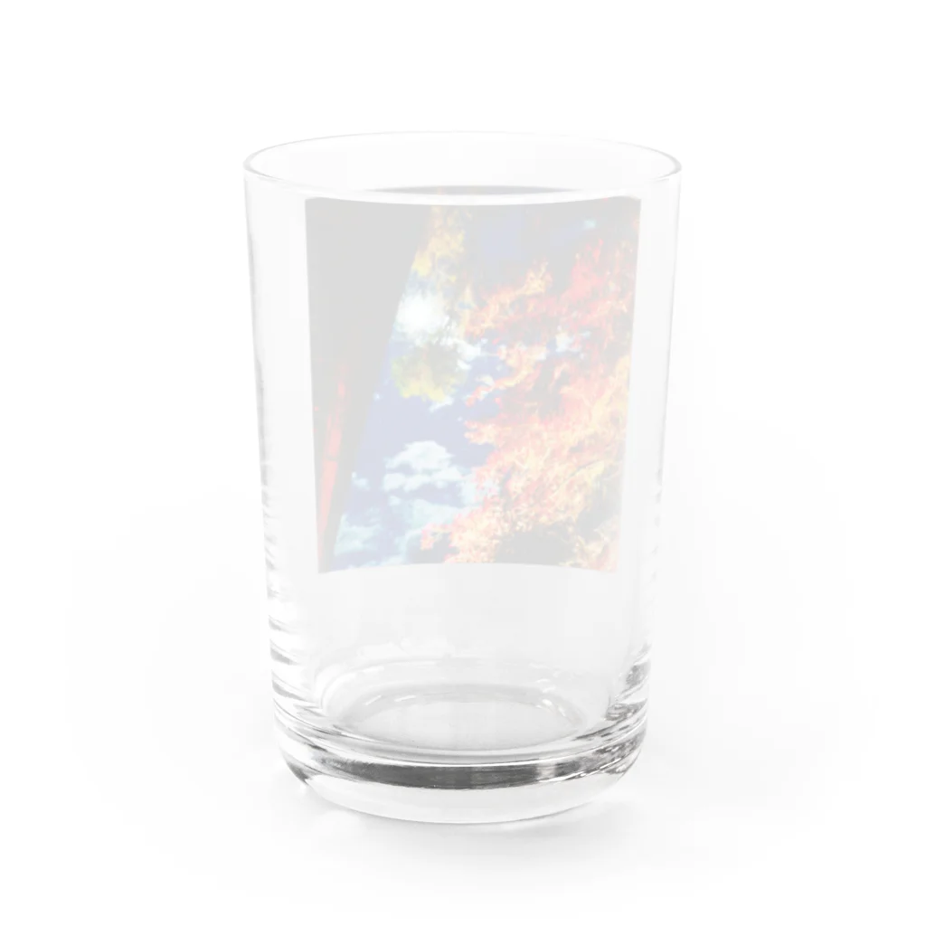 hanemaruyaの紅葉シリーズ Water Glass :back