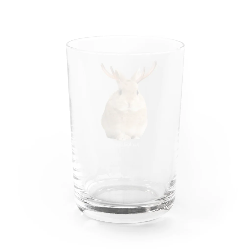 Jackalope HouseのUMA Water Glass :back