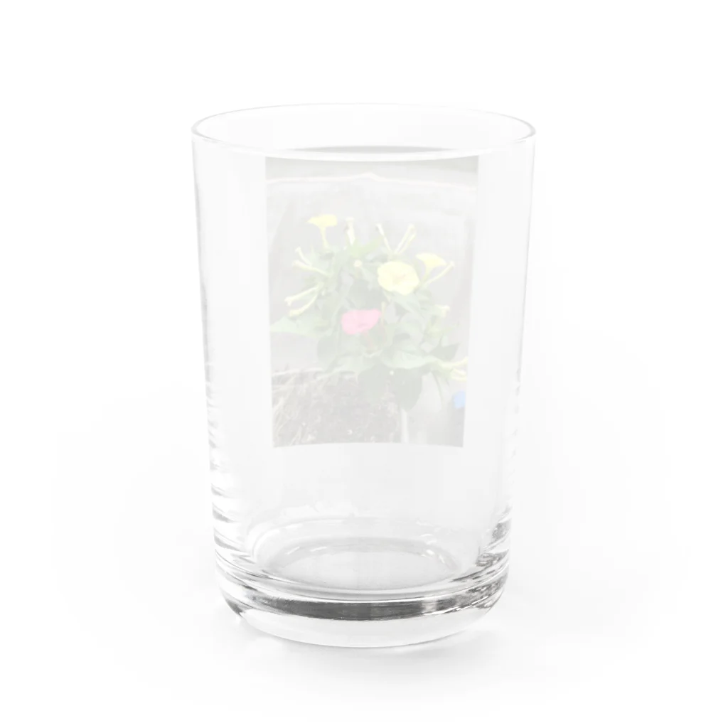 ばにーすぺーの明るい月見草Verミックス Water Glass :back