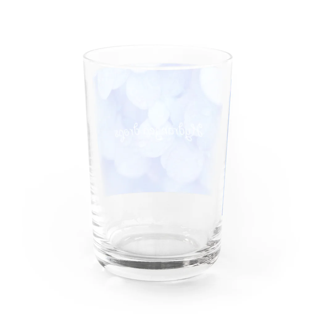 photo-kiokuのあじさい１ Water Glass :back