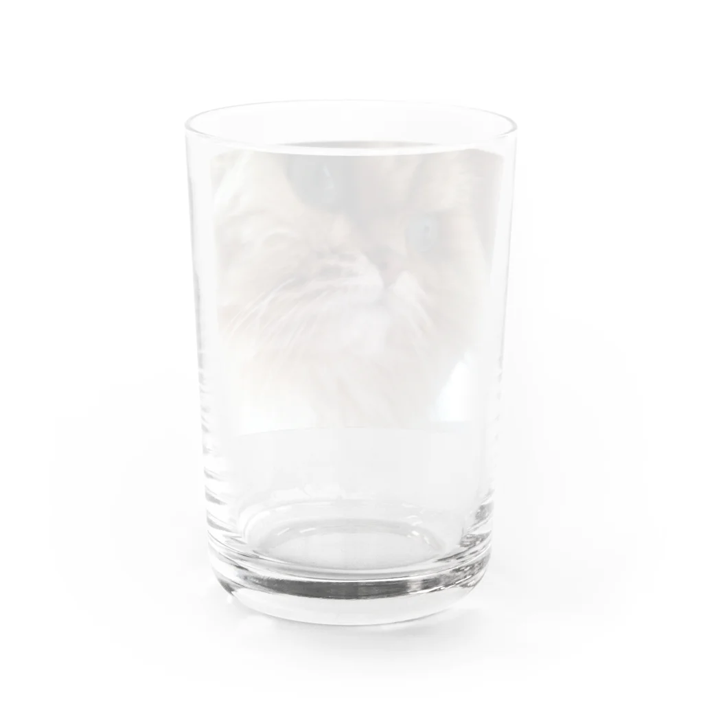 おもちショップのおもち Water Glass :back