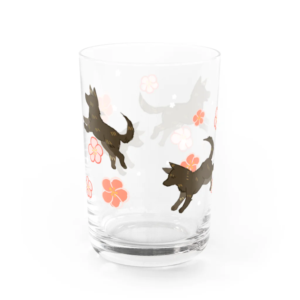 くろげちゃまじりの梅と甲斐犬 Water Glass :back