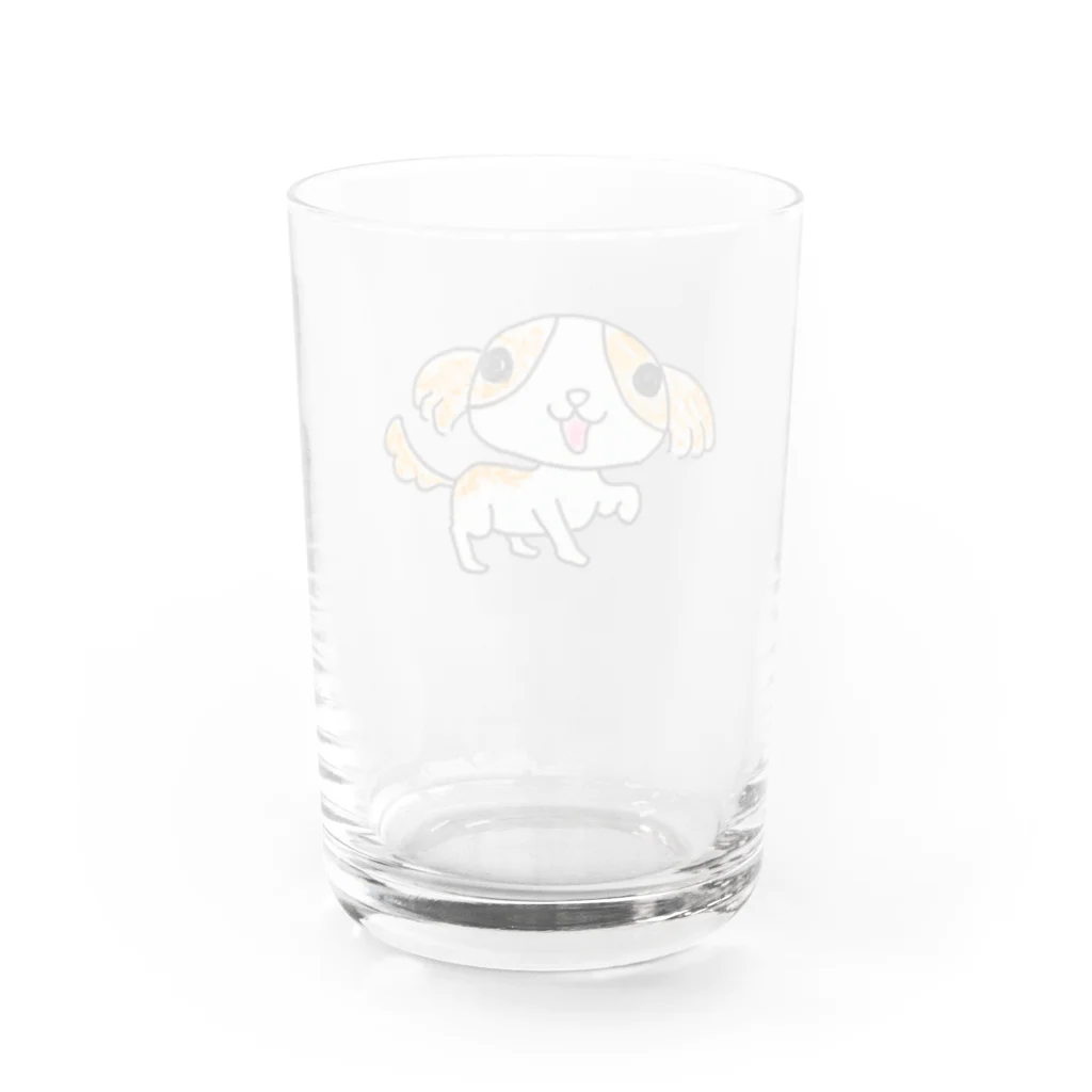 ラペルデラヒーバのシーズーのキララ Water Glass :back