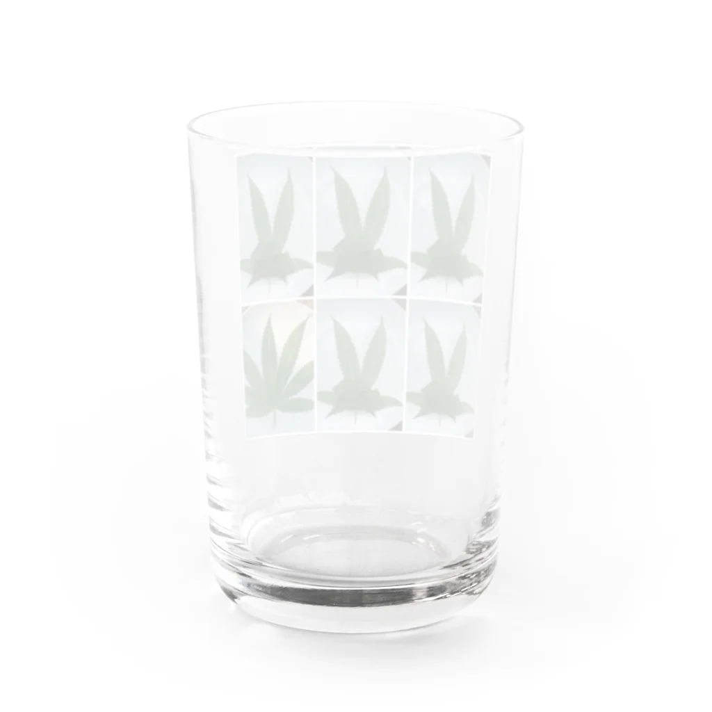 weneedweed1988@(日本人)大麻取締法に挑む。のWe need peace.  Water Glass :back