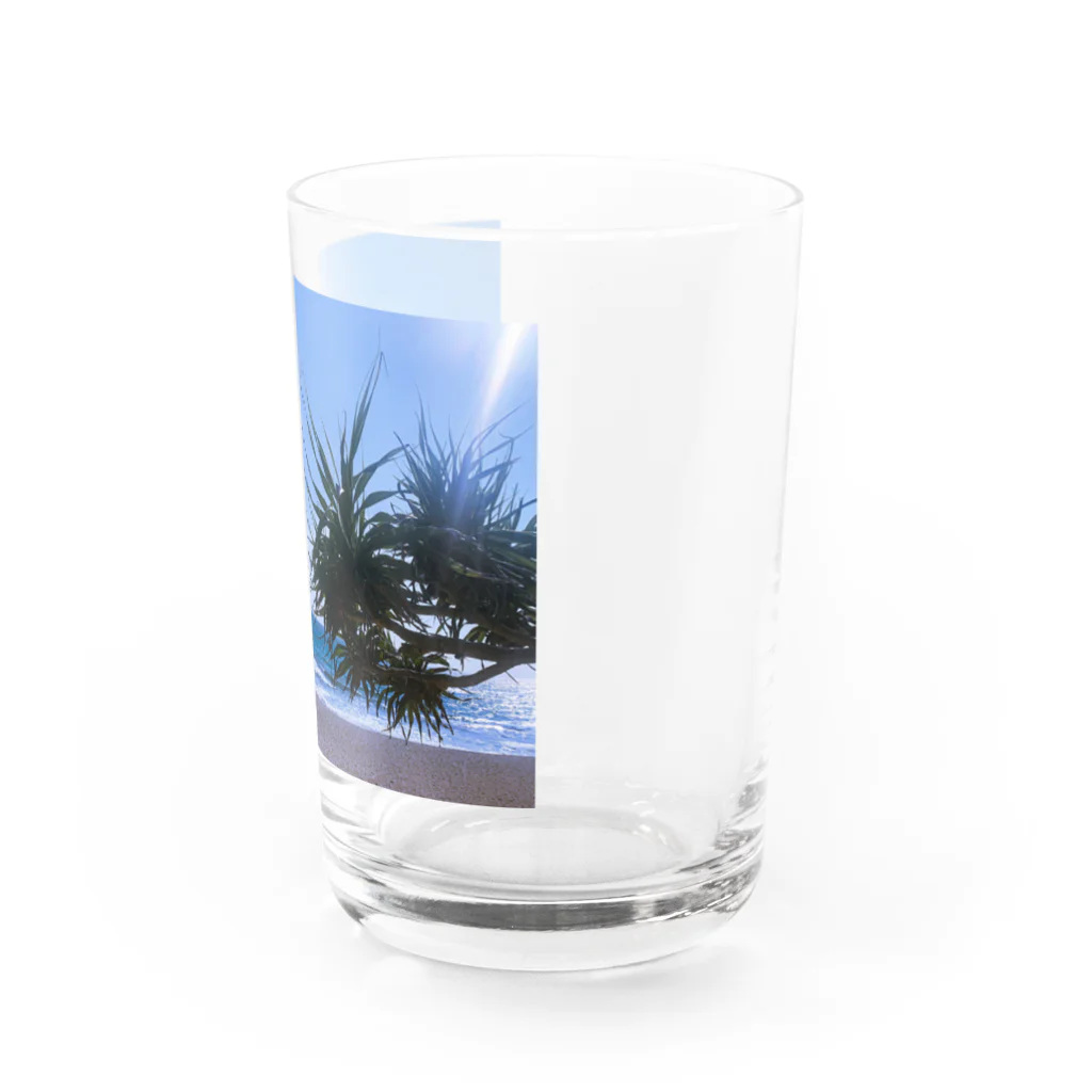 sunflower_farmのbeachside Water Glass :back