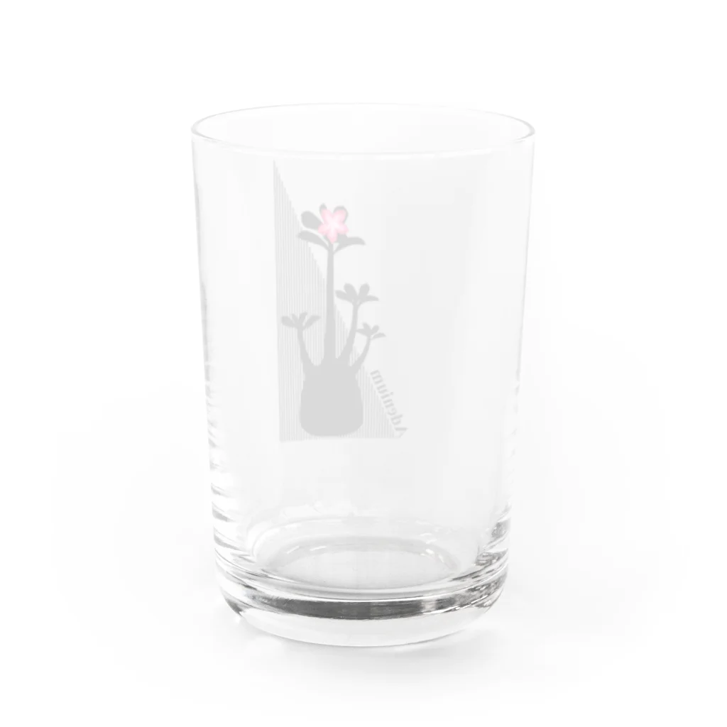 DOTEKKOのT-29 Adenium tall Water Glass :back