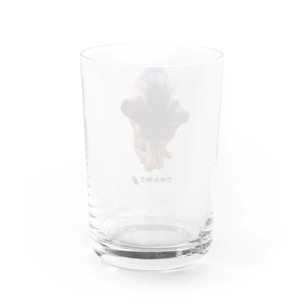 うさミミっミ(無駄に元気)のごめんねこ Water Glass :back