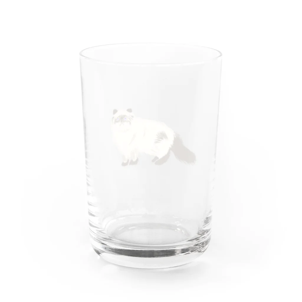 小鳥と映画館のタヌキじゃ無いよ。ネコです。 Water Glass :back