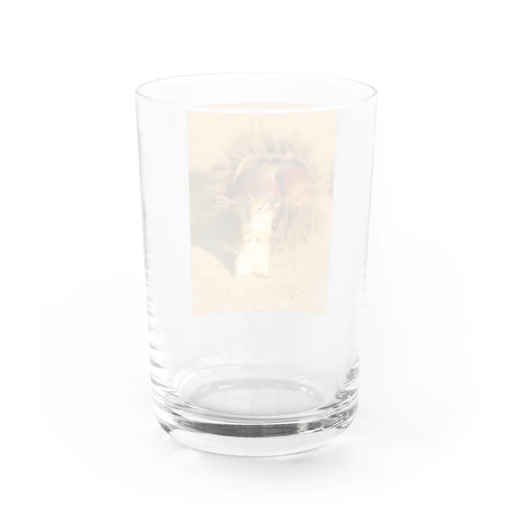 3rd Shunzo's boutique熊猫屋 の大きな栗と、栗鼠の風景 Water Glass :back