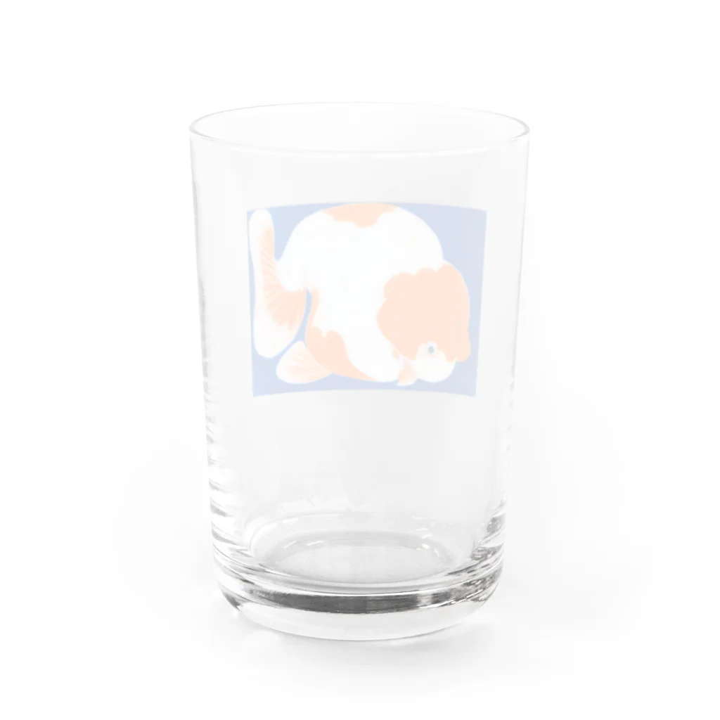 マキコエビナのランチュウ Water Glass :back