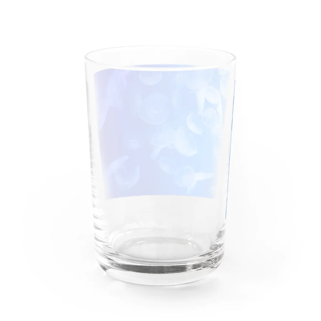 Catcatの海月ちゃん Water Glass :back