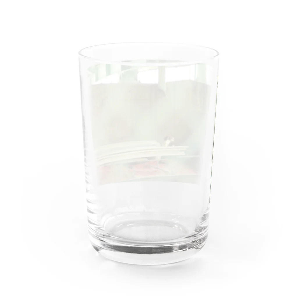 Catcatの猫ミッケ！ Water Glass :back