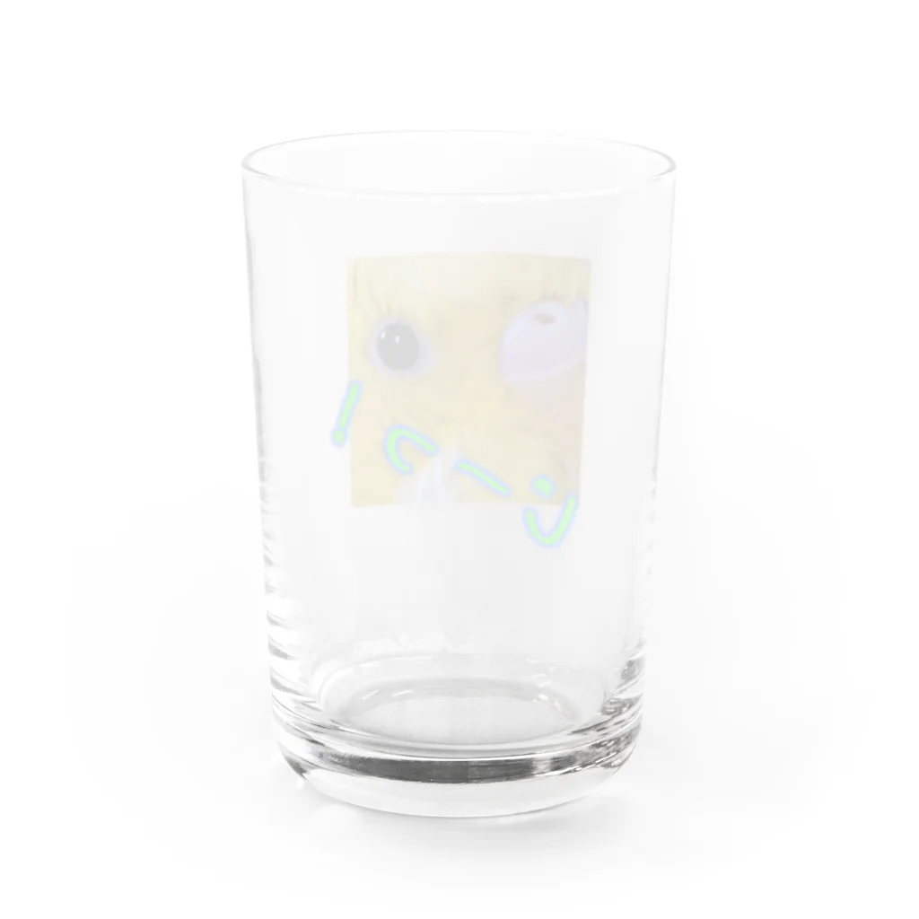 ぴーよこまる（セキセイインコ）のまるのじーっ！ Water Glass :back