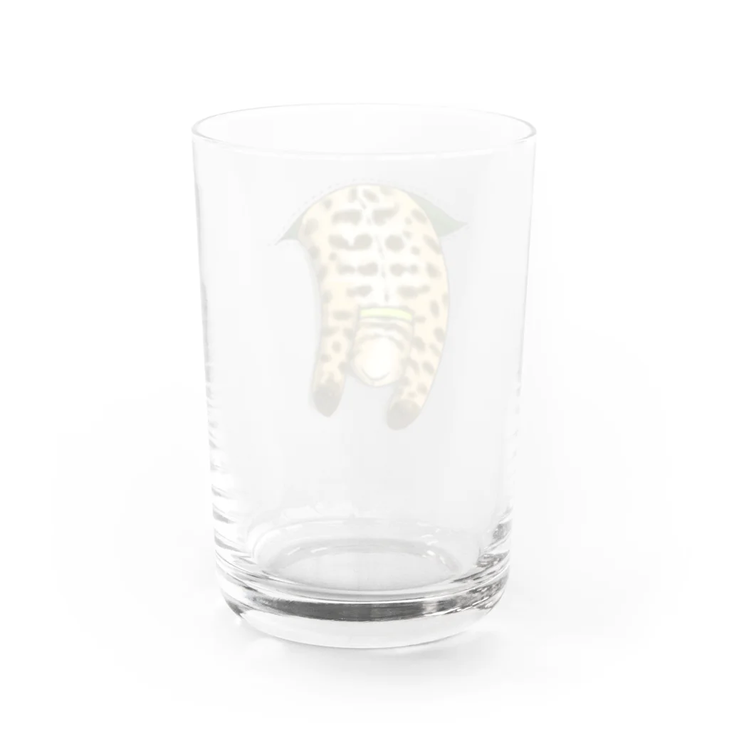 氷守トッカのほとばしる猫愛SHOPのにょりーんベンガル Water Glass :back