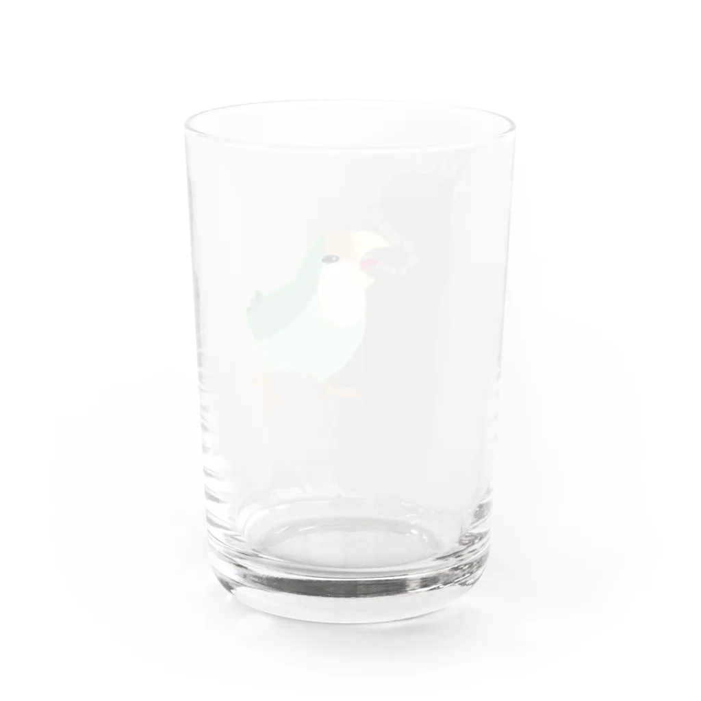 コザクラインコSHOP (kotorigoto/Lovebirdlove)のGyoeeeeeコザクラインコ Water Glass :back