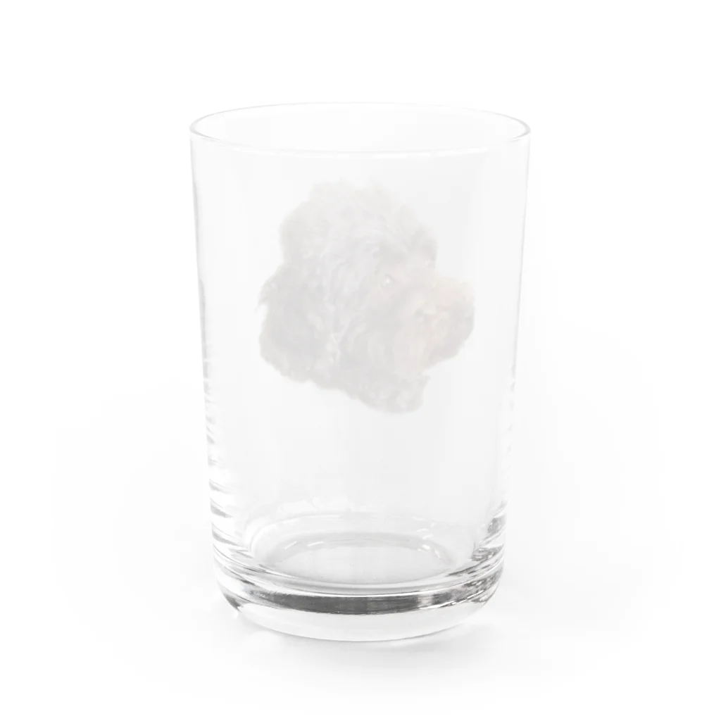 しらたま雑貨店の昴くん Water Glass :back