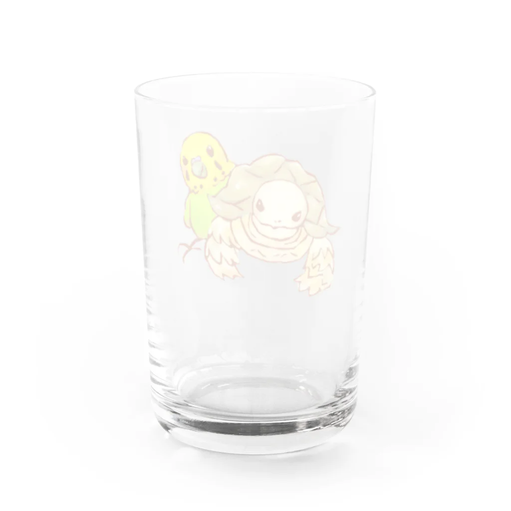 とくとくペット店のケヅメリクガメとセキセイインコ Water Glass :back