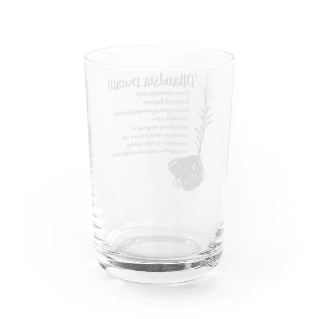 Otowaのドゥラティー小物 Water Glass :back