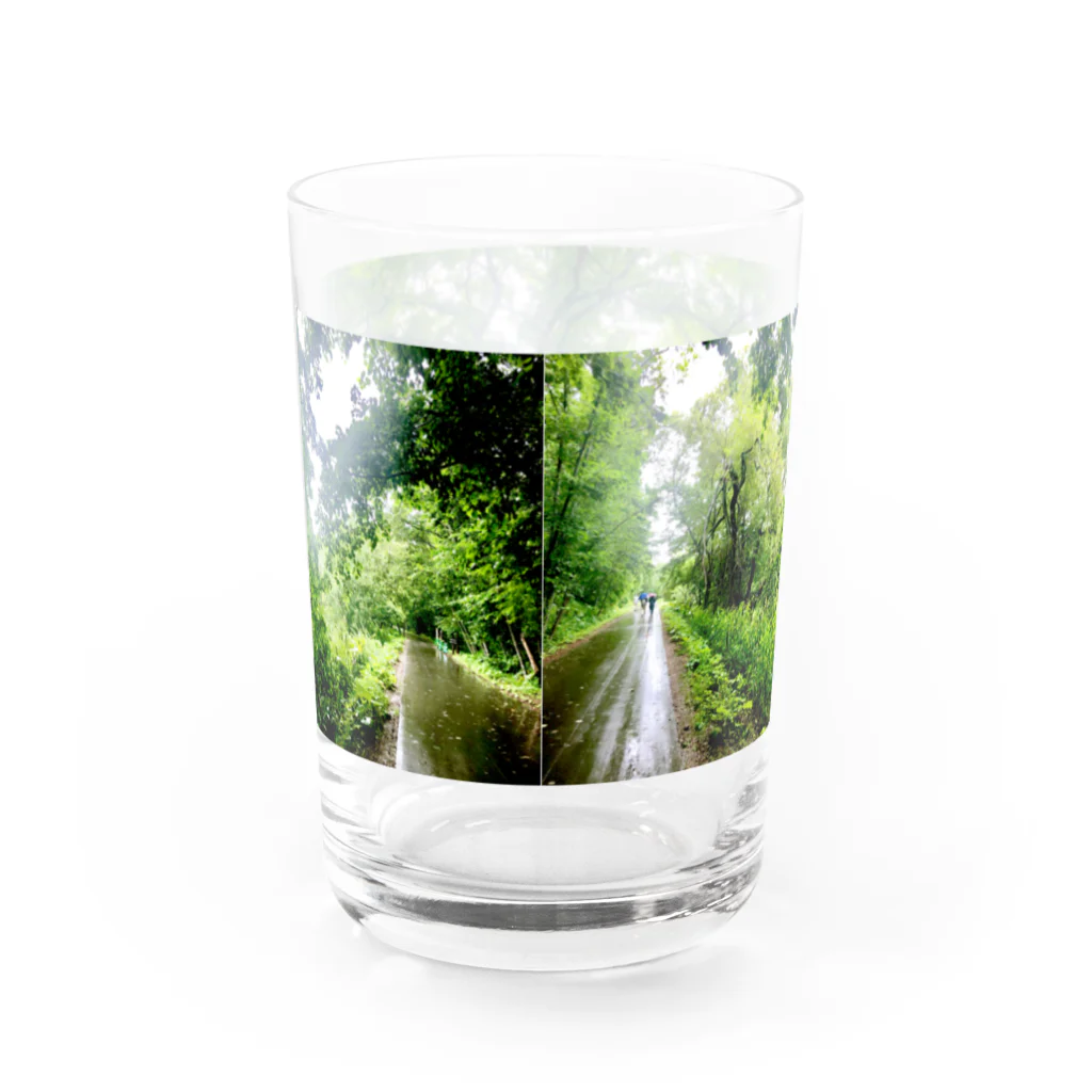 42のイタルの森のパノラマフォトグラフィック Water Glass :back