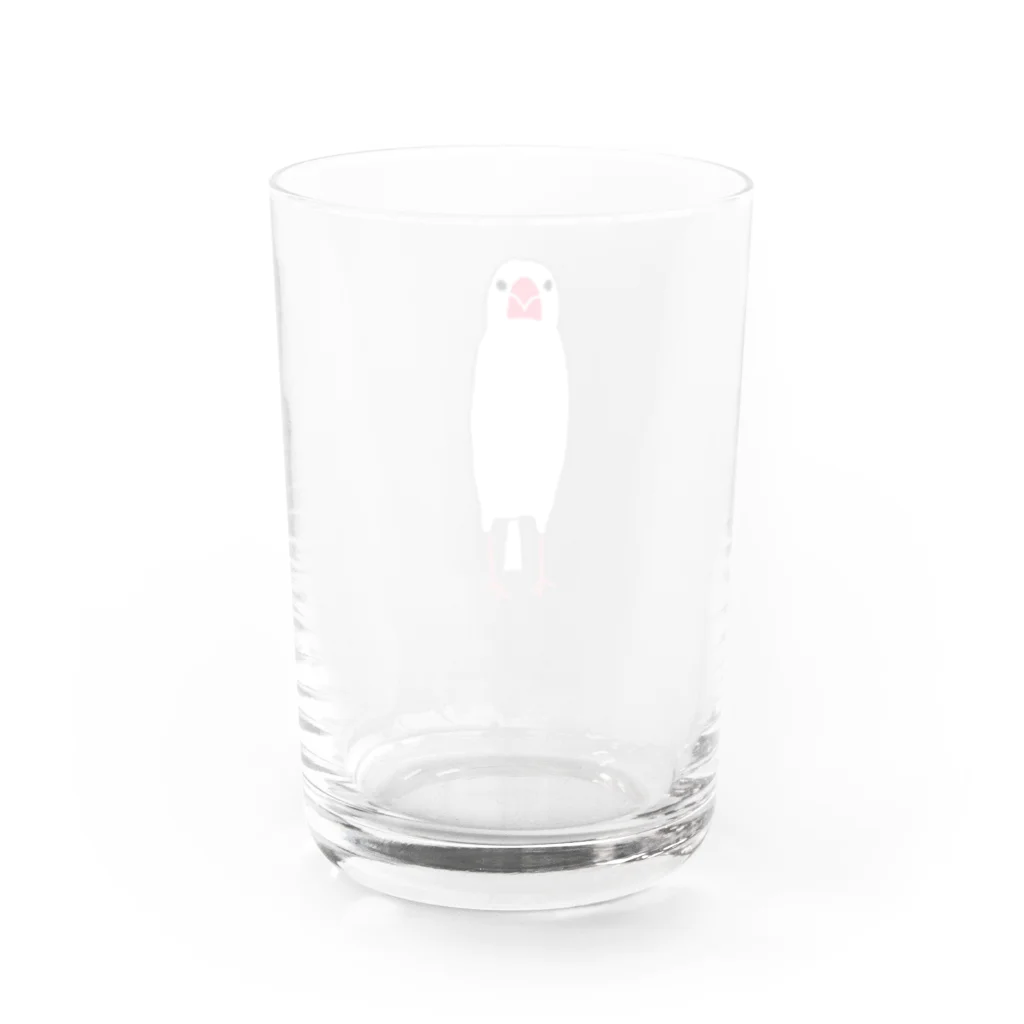 minatoriの文鳥さん(背伸び) Water Glass :back