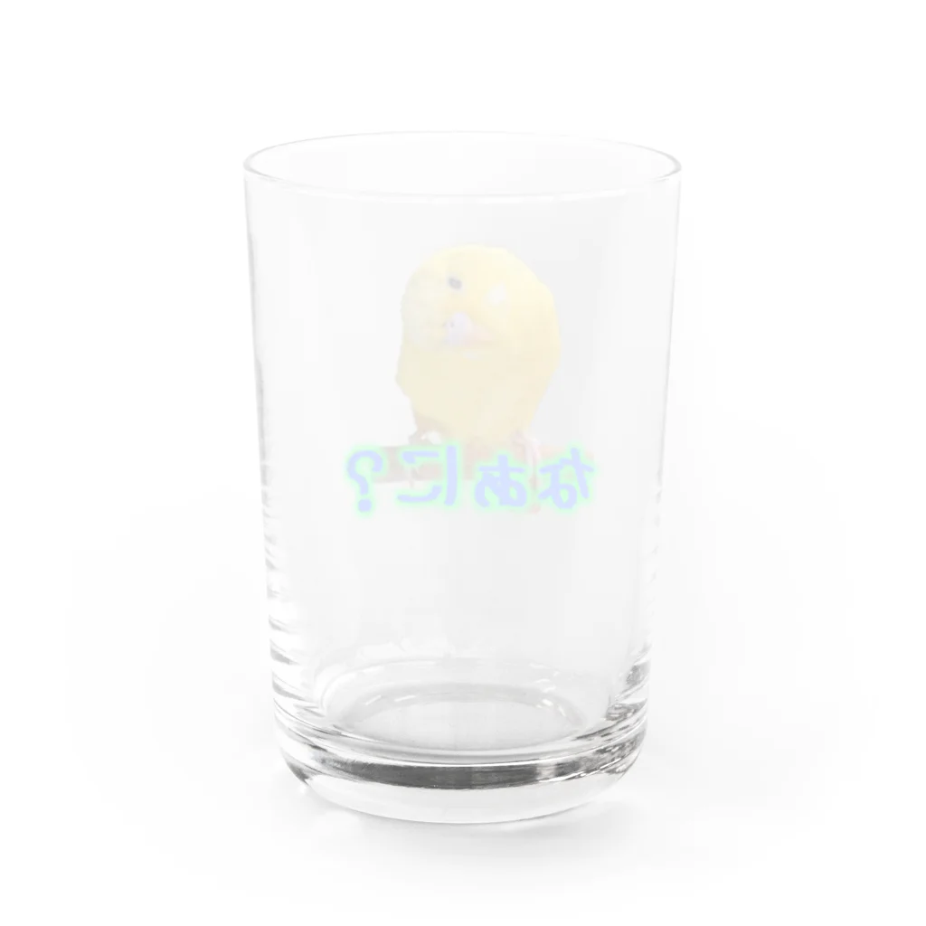 ぴーよこまる（セキセイインコ）のまるのなぁに？ Water Glass :back