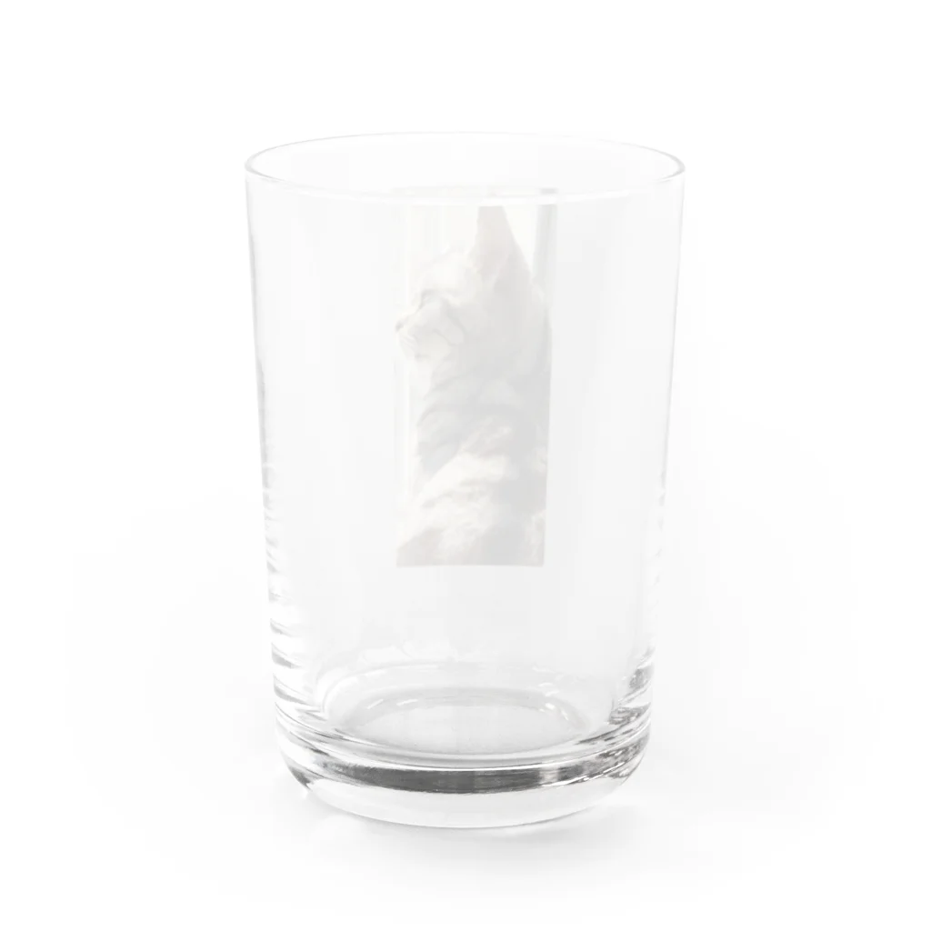 1193nutsのチャビ Water Glass :back