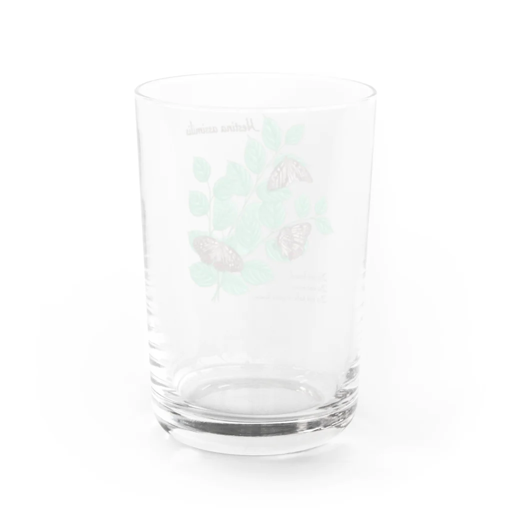 kitaooji shop SUZURI店のアカボシゴマダラとエノキ Water Glass :back