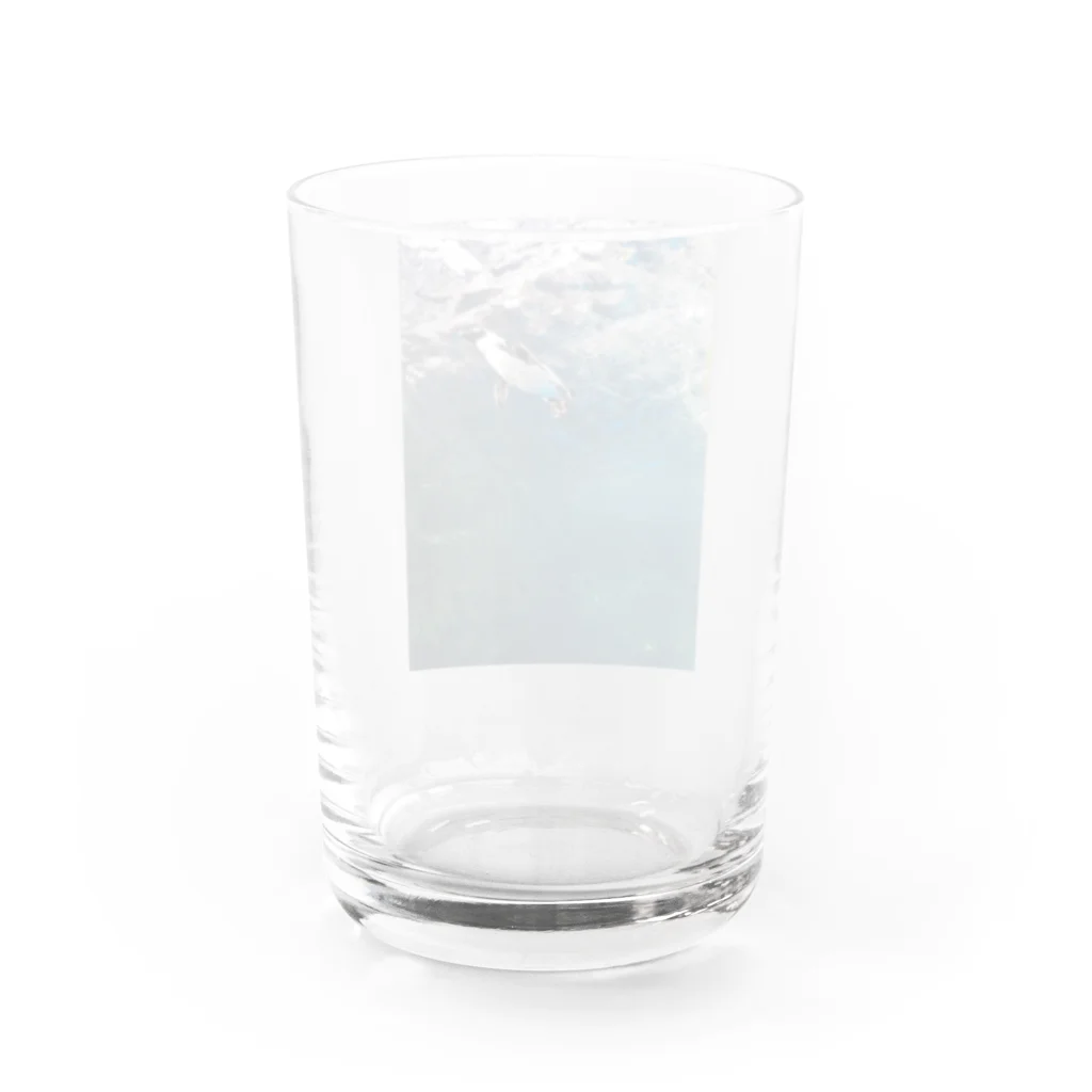 COCO+の空飛ぶペンギン Water Glass :back