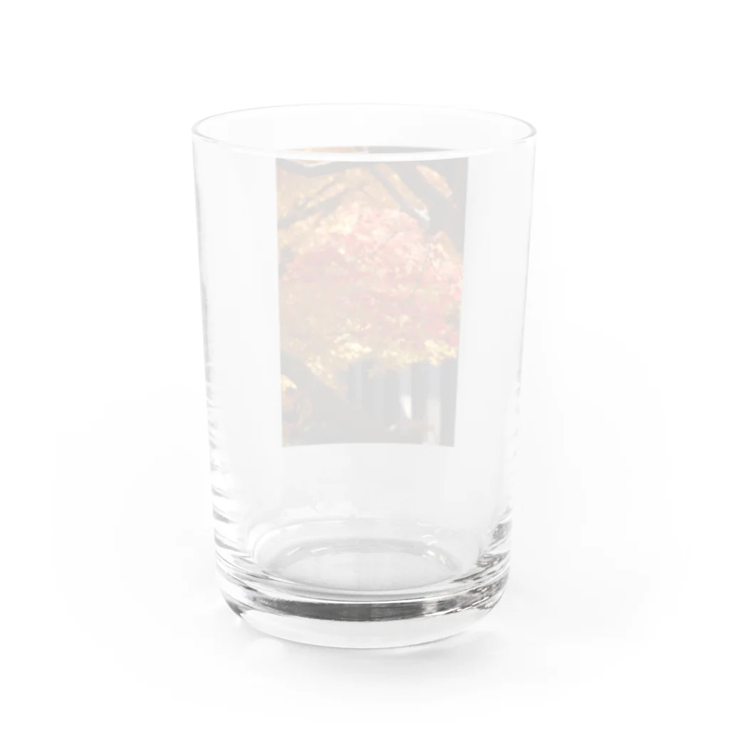 Barika7519の鹿児島　紅葉 Water Glass :back