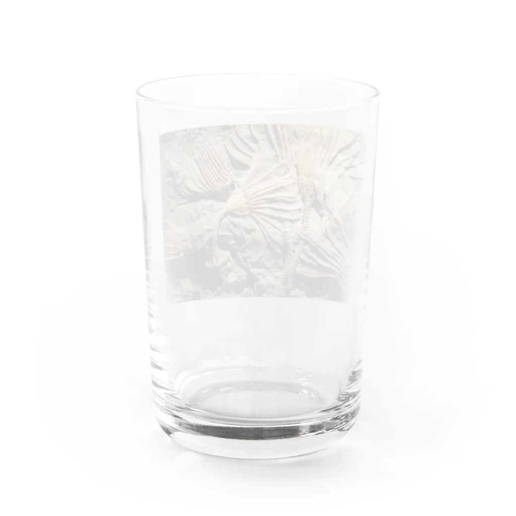 神田🅙のカクトクリヌス Water Glass :back