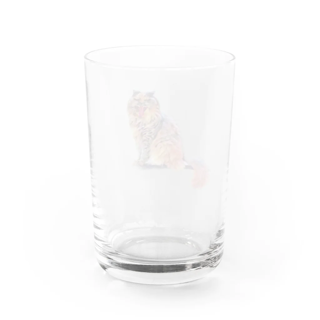 Persian LucyのLucyさん Water Glass :back