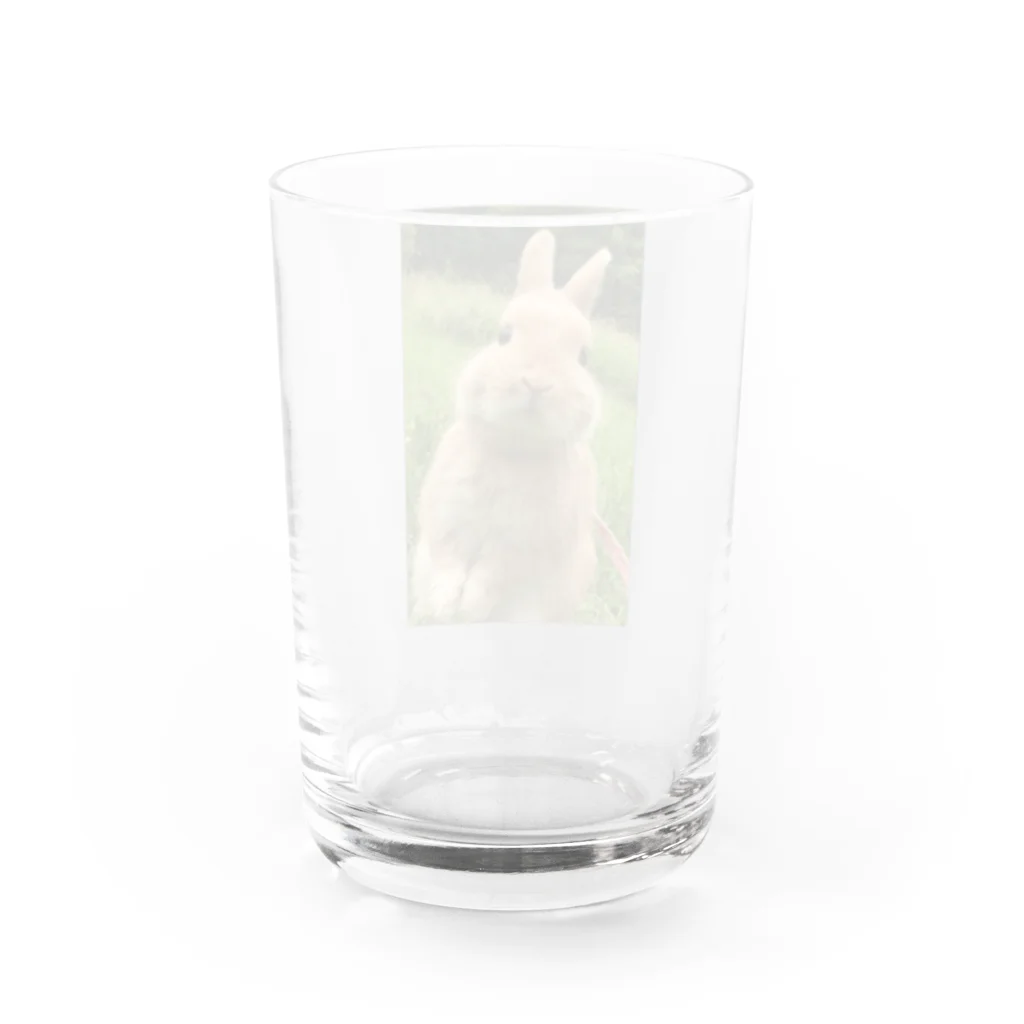 2kazu_5のうたっち　らび太 Water Glass :back