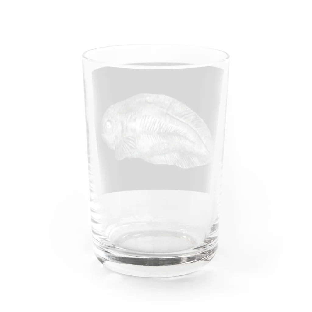 🔵  魚食不可人(さかなくえんちゅ)  🔵のサケビクちゃん Water Glass :back