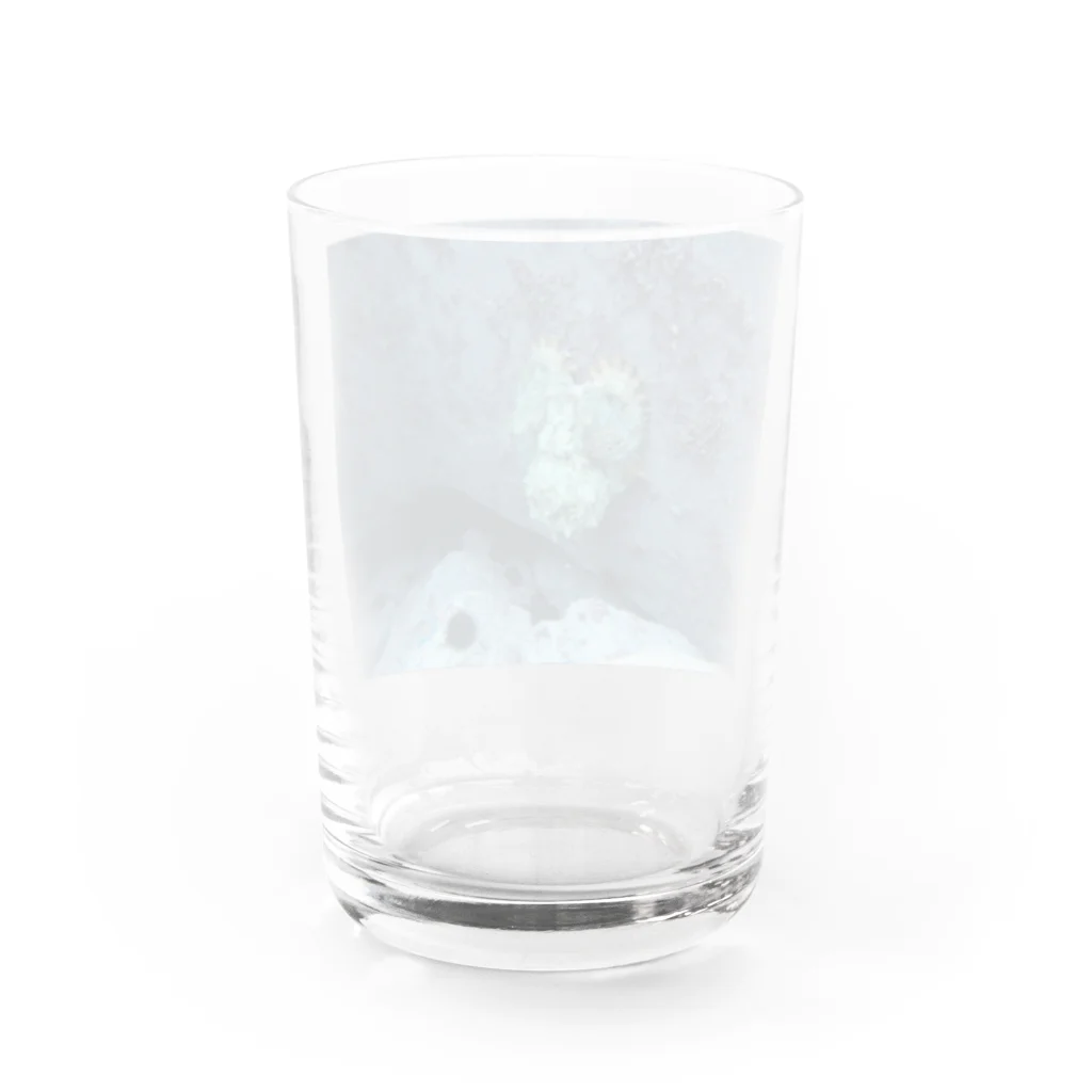 @om_filmzのタコ　青 Water Glass :back