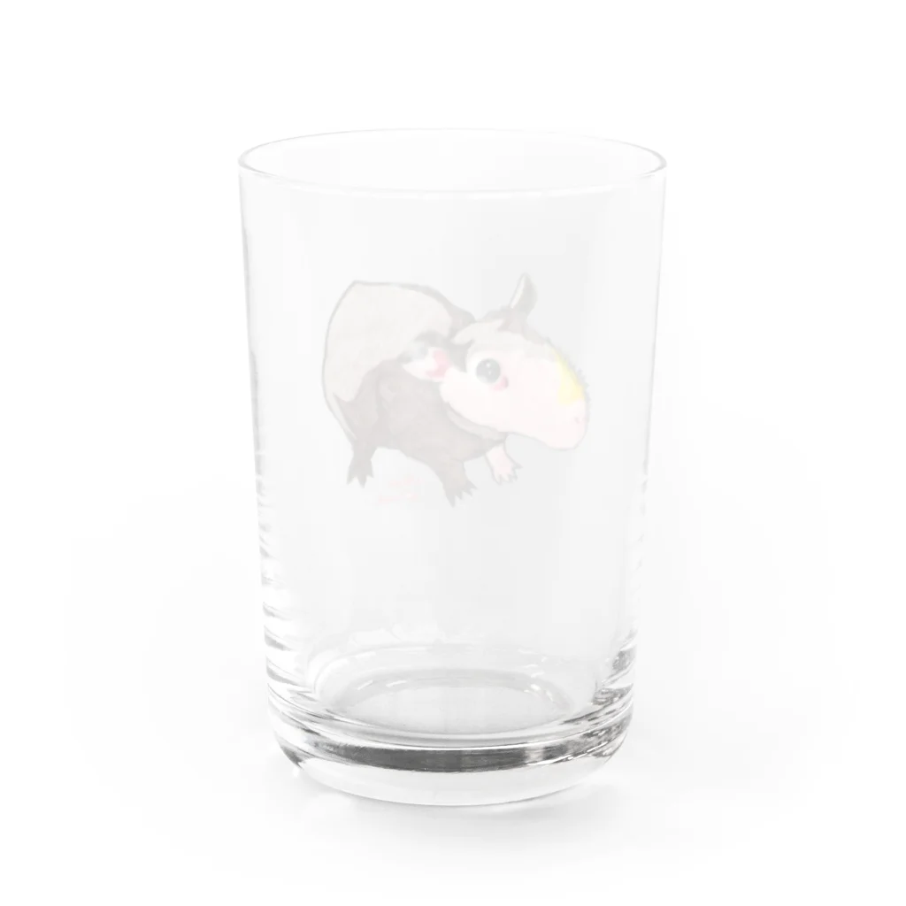 aNone sOnoneのスキニーギニアピッグ（毛のないモルモット） Water Glass :back