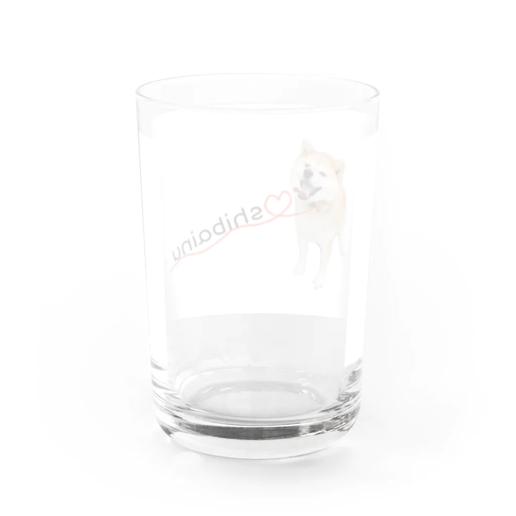 ゆりえ精神統一ちゅうの柴犬　ハナ Water Glass :back