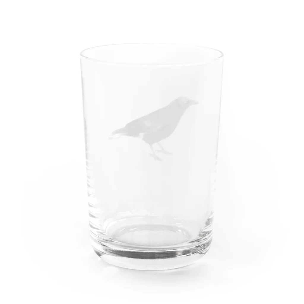 缶詰1616のカラス Water Glass :back
