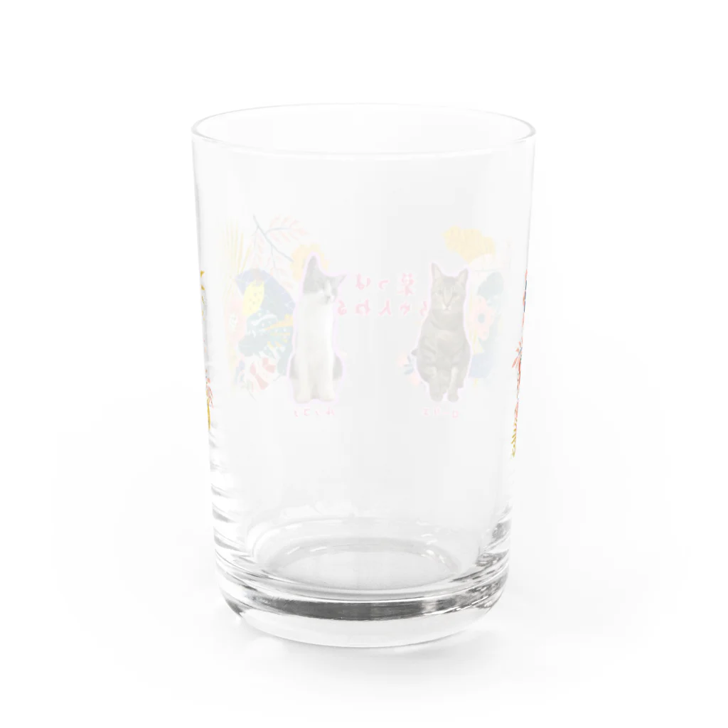 🍀葉っぱちゃんねる🍀の葉っぱ猫の葉っぱまみれ（白） Water Glass :back